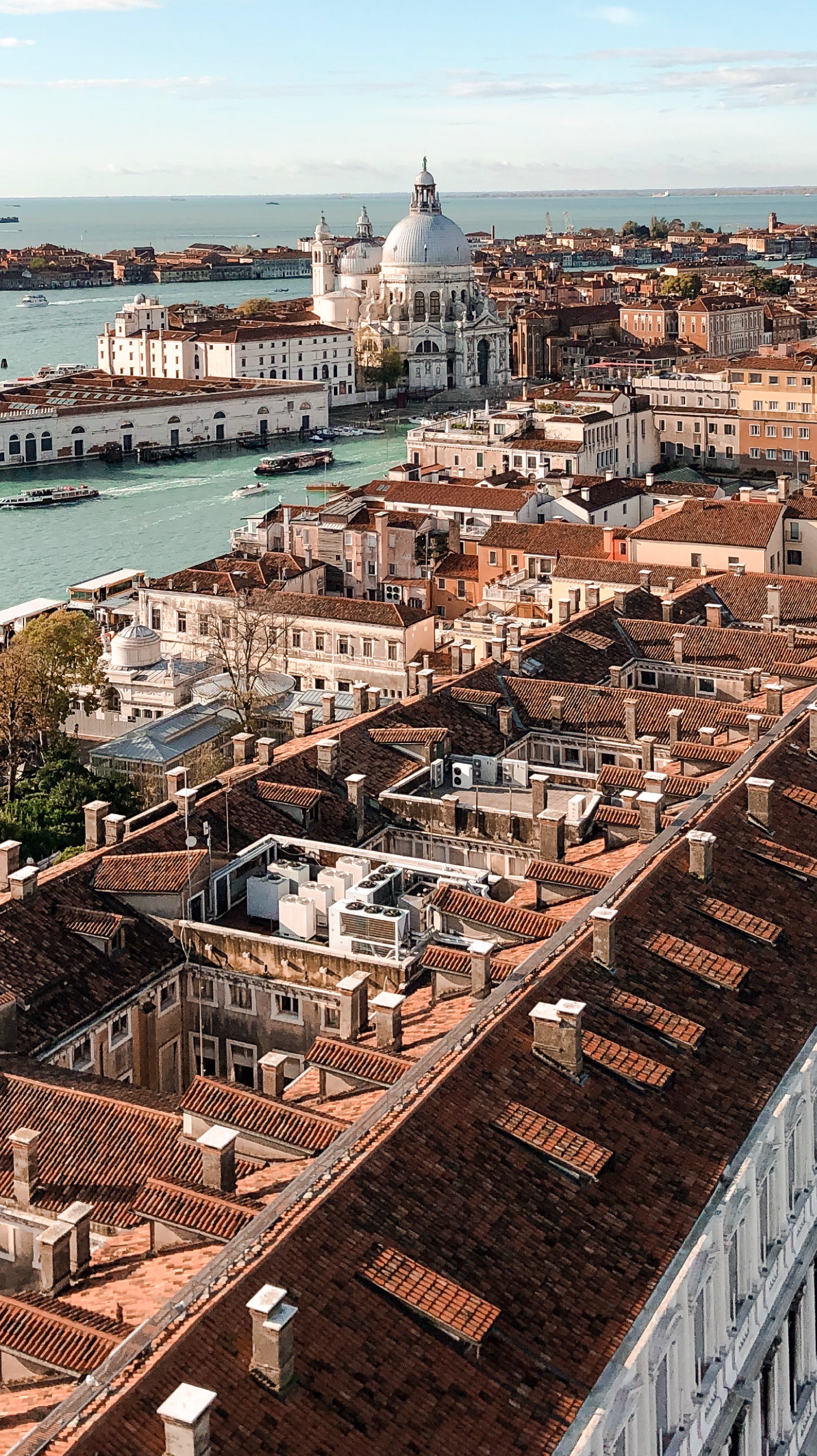 株式会社イーロナー