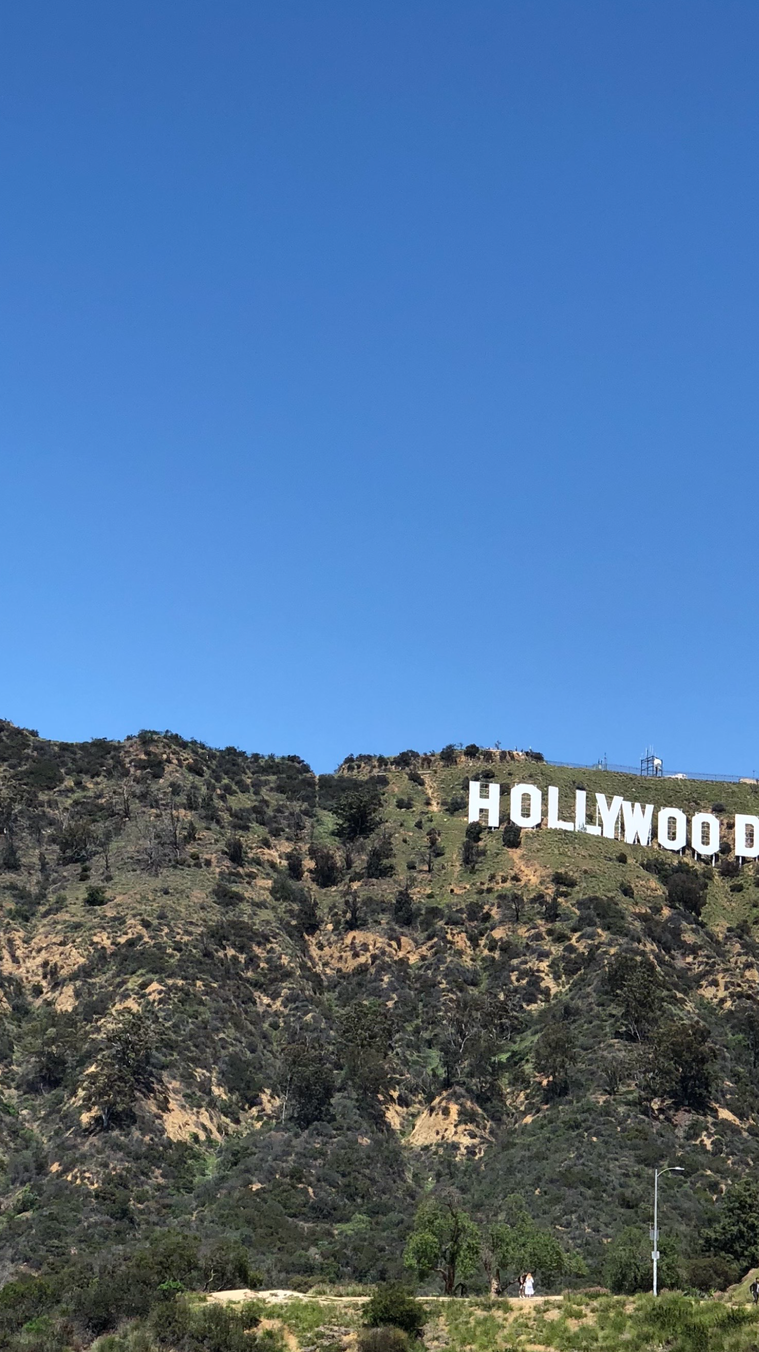 株式会社イーロナー